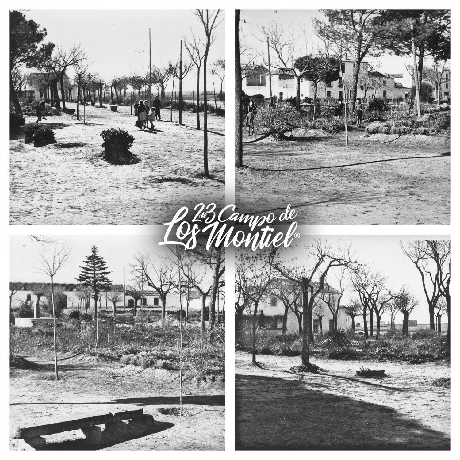 Aquel verano del infierno: Villanueva de los Infantes en el año del cólera